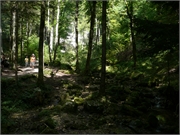 2011-08-21 Teufelsschlucht19